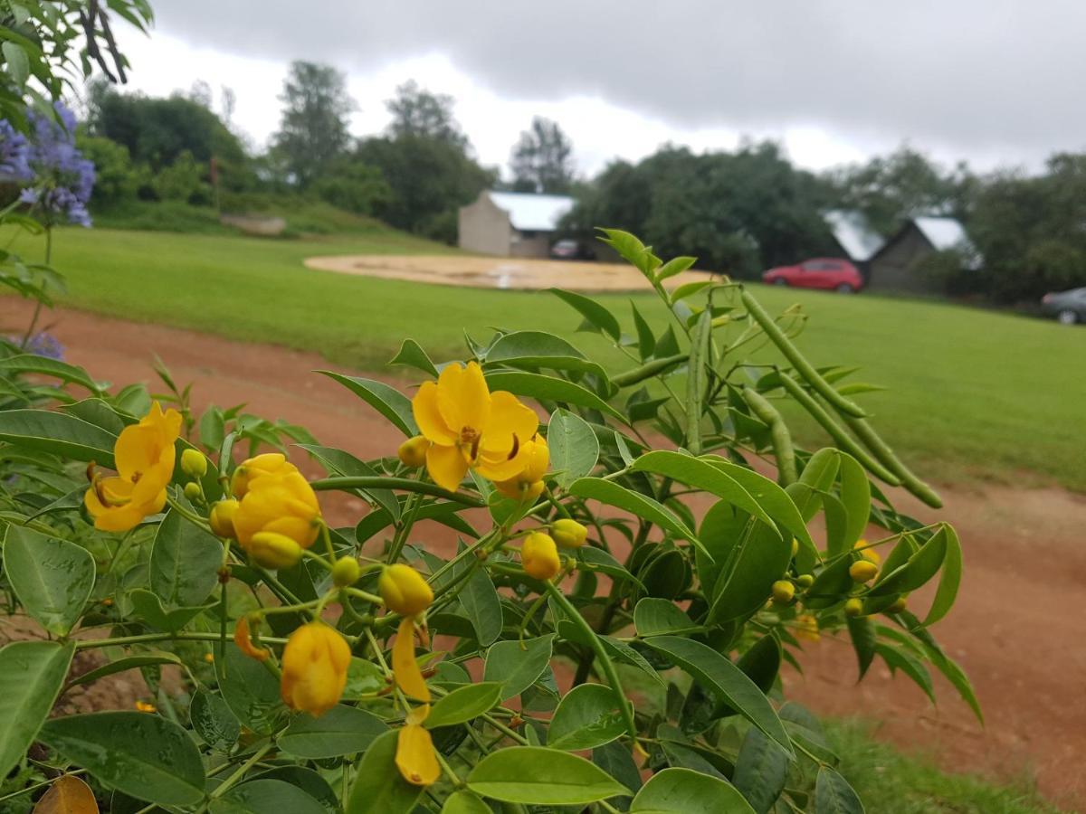 Mulberry Lane Hotel Graskop Eksteriør billede