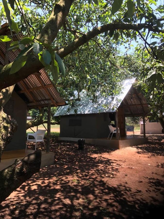 Mulberry Lane Hotel Graskop Eksteriør billede