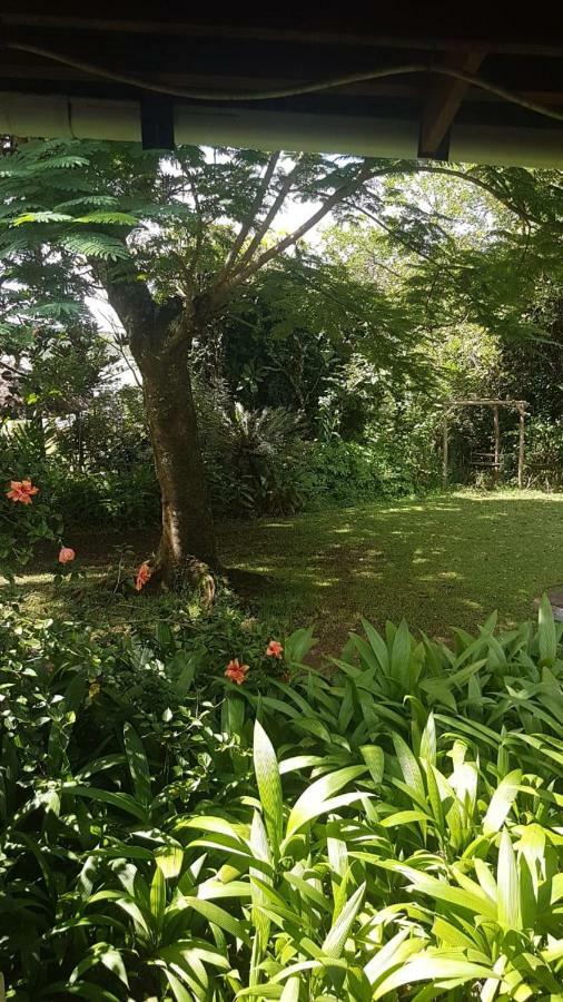 Mulberry Lane Hotel Graskop Eksteriør billede